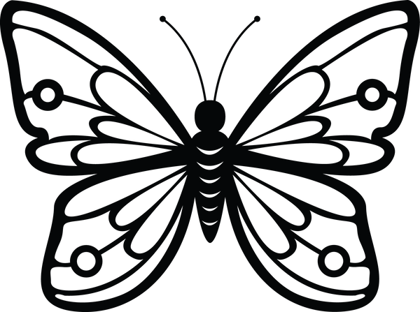 Butterfly 48