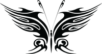 Butterfly 49