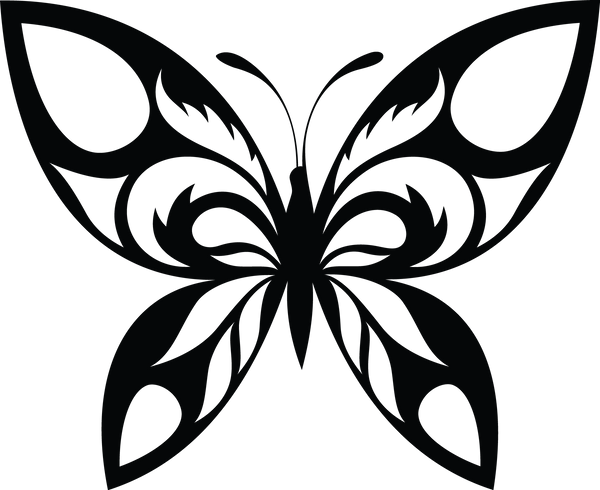 Butterfly 4
