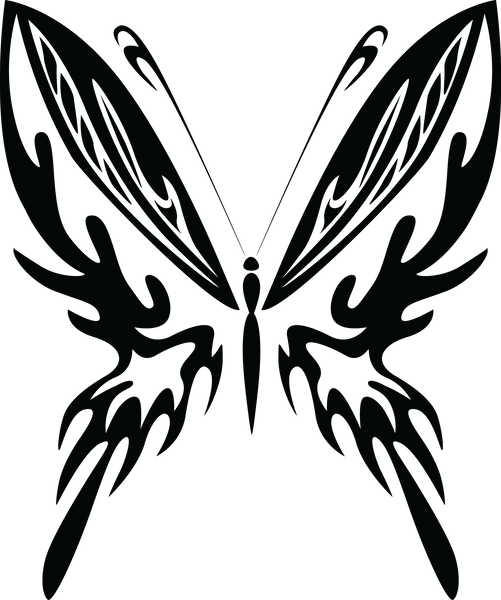 Butterfly 50