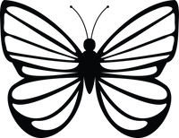 Butterfly 51