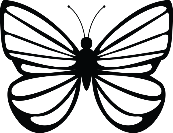 Butterfly 51