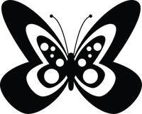 Butterfly 53