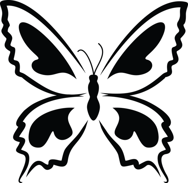 Butterfly 55
