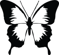 Butterfly 56