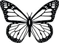 Butterfly 57