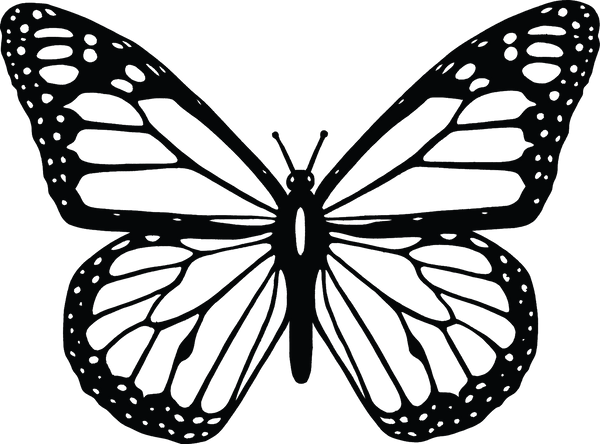 Butterfly 57