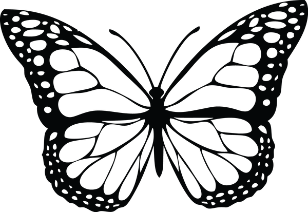 Butterfly 58