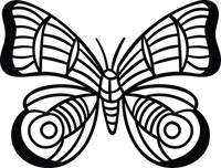 Butterfly 59