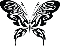 Butterfly 5