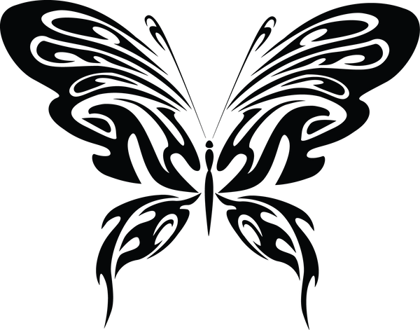 Butterfly 5