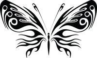 Butterfly 60