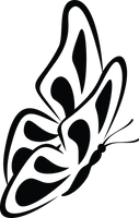 Butterfly 62