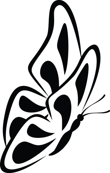 Butterfly 62