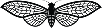 Butterfly 63