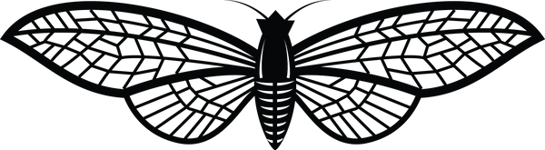 Butterfly 63