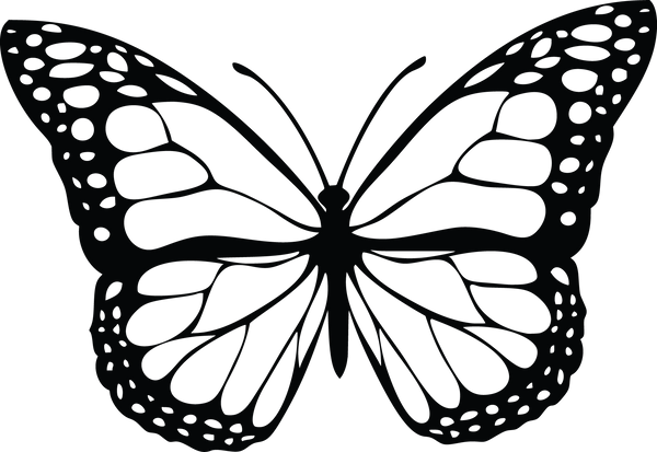 Butterfly 64