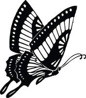 Butterfly 65