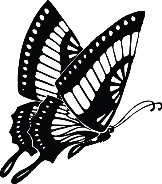 Butterfly 65