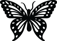 Butterfly 66