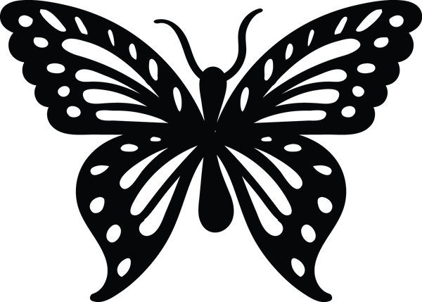 Butterfly 66