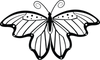 Butterfly 68