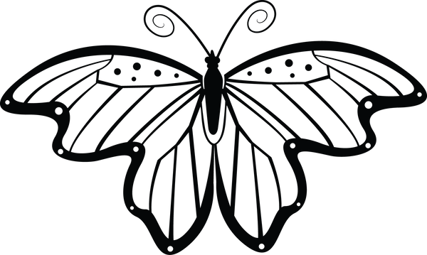 Butterfly 68