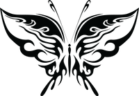 Butterfly 69