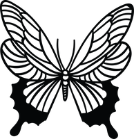 Butterfly 70
