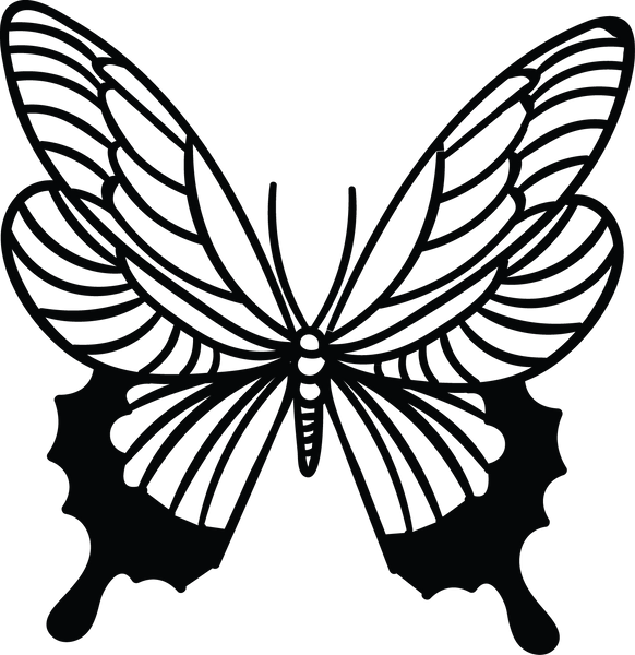 Butterfly 70