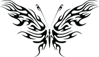 Butterfly 72