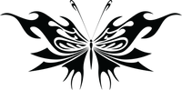 Butterfly 73