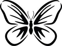Butterfly 78