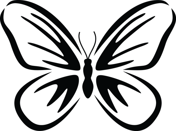 Butterfly 78