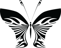 Butterfly 79