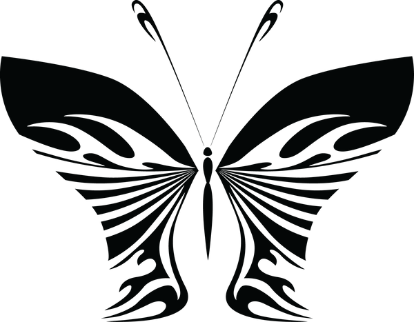 Butterfly 79