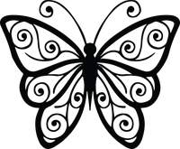 Butterfly 7