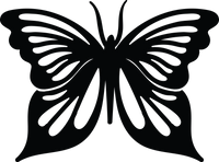 Butterfly 80