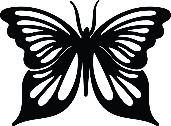 Butterfly 80