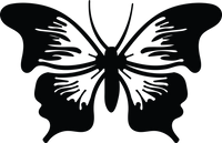 Butterfly 81