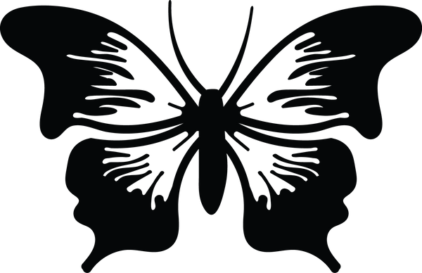 Butterfly 81
