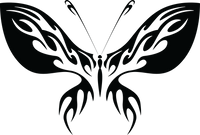Butterfly 82