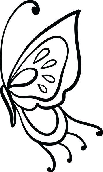 Butterfly 84