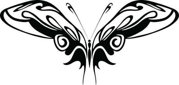Butterfly 87