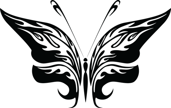 Butterfly 89