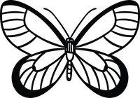 Butterfly 8