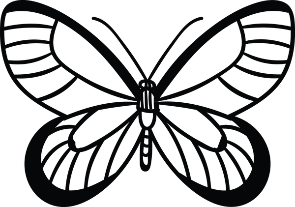 Butterfly 8