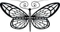 Butterfly 91