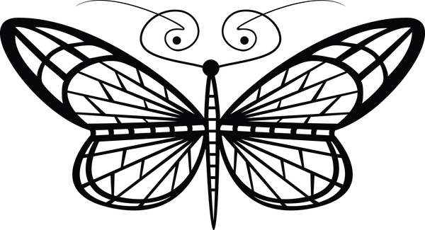 Butterfly 91