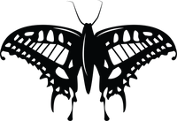 Butterfly 94